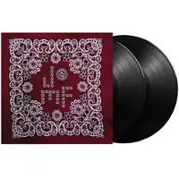 Konkurrent Jockie-O Motherfucker - Flags Of The Sacred Harp (2 LP) (20th Anniversary Edition)