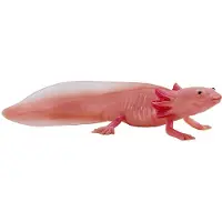 MOJO Wildlife Axolotl 381108