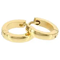 Kalli edelstalen Oorbel shiny rond 1897 Goud 10mm