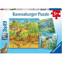 Ravensburger Dieren in hun leefomgeving, 08050