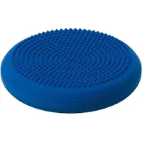 Togu Dynair Bal Kussen Plus - Blauw