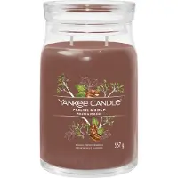 Yankee candle Kamergeuren Geurkaarsen Praline & Birch