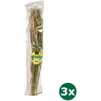 Utopia 3x gemengd boeket knaagdier