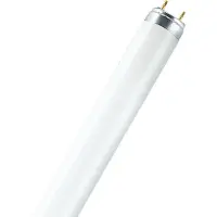 Osram 25x G13 T8 TL-buis | 18W 2700K 1300lm 827 | 600mm