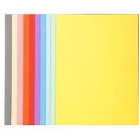 Exacompta Forever Sorteermap A4 Kleurenassortiment Manila 100% gerecycled 170 g/m² 100 Stuks