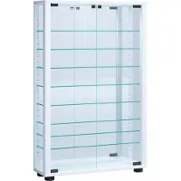 Hioshop VitrosaMini vitrinekast wandmontage met spiegel 2 glazen deuren wit.