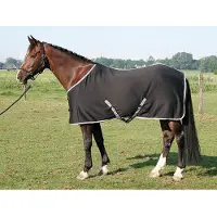 Harry's Horse Harrys Horse Jersey Cooler Deken - Zwart