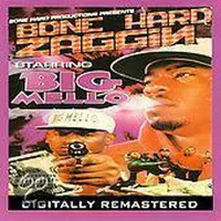 Warner Bone hard zaggin