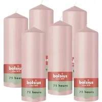 Bolsius - Gladde Stompkaarsen - 6 Stuks - Roze - 20 cm - 75 Branduren