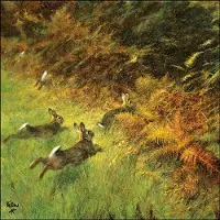 Ambiente - Lunch servetten - Running Rabbits