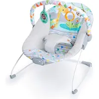 Bright Starts Safari Fun Hammock Veelkleurig Kinderen