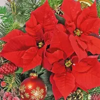 Ambiente - Lunch servetten - Red Poinsettia