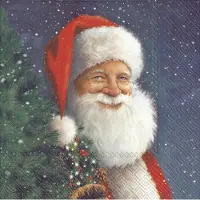 IHR Lunch servetten - Santa Is Waiting For x-mas
