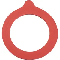 Leifheit 3216 Rubberen Weckringen 68x94 mm 6 Stuks