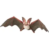 Papo 50239 Vleermuis WILD DIEREN KONINKRIJK beeldje, veelkleurig