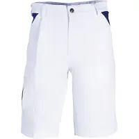 Havep Painter Bermuda 8383 | Maat: 46