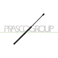 PRASCO DS0119055 Gasveer achterklep