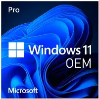 Microsoft Windows 11 Home 64 Bit DVD OEM UK