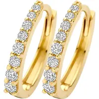 Blush 14 karaats geelgouden oorsieraden met zirkonia