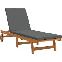 vidaXL Ligstoel Bruin 199 x 63 x 85 cm Massief Acacia Hout
