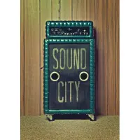 Sony Sound City DVD