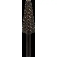 Bosch 2609255300 Houtrasp, kegelvormig 1 stuk(s)