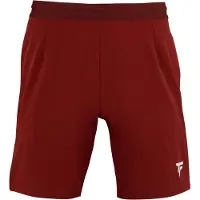 Tecnifibre Team Shorts Rood L Man
