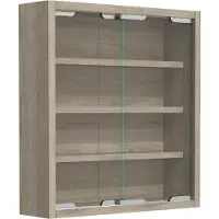 VCM AgisaS glazen vitrines wandmontage 2 schuifdeuren eik decor.