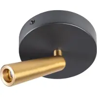 Expo ETH Barry Spot led 1x3w 2700k rond zwart+mat messing
