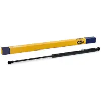 MAGNETI MARELLI 430719095600 Gasveer