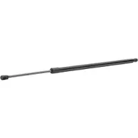 RIDEX 219G1022 Gasveer achterklep