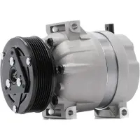 RIDEX 447K0030 Aircopomp