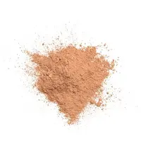 Gosh Mineral Powder 006 Honey