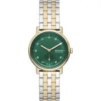 Skagen SKW3122 Vrouwen Horloge 33 mm - Multi