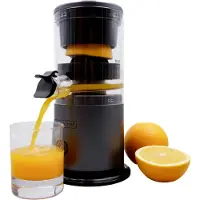 Livington JuiceBoost - draagbare sapcentrifuge op batterijen - 250 ml opvangbak - snoerloos - kleine sapcentrifuge - sapcentrifuge om mee te nemen - slow juicer voor fruit en groenten - vruchtensap
