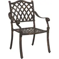 vidaXL Tuinstoel 2 st Brons Aluminium