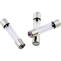 Eska 528.024 528024 Buiszekering (Ø x l) 5 mm x 25 mm 5 A 250 V Normaal -mT- Inhoud 10 stuk(s)