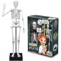 Buki France Buki - Skelet 45cm