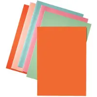 Esselte papieren inlegmap oranje A4 (250 stuks)
