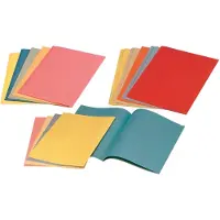 Esselte papieren inlegmap blauw A4 (250 stuks)