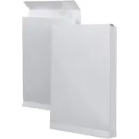 Bong Monsterzakenveloppen formaat 229 x 324 x 38 mm