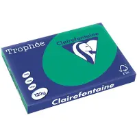 Clairefontaine Dennengroen A3 Gekleurd papier 120 grams (250 vel)