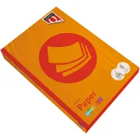 Quantore Kopieerpapier colour a4 120gr oranje | 5 stuks