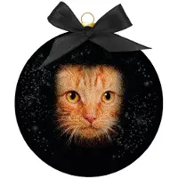 Plenty Gifts Kerstbal frosted rode kat ogen zwart