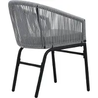 vidaXL Tuinstoelen 2 st PE-rattan antracietkleurig
