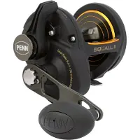 Penn Squall Ii Lever Drag Trollingmolen