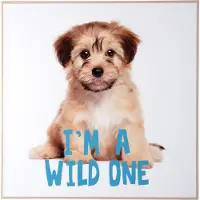Present Time wall art puppy i'm a wilde one -