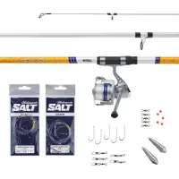 Mitchell Neuron Surfcasting Combo Wit 4.03 m / 100-200 g
