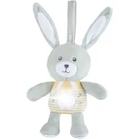 Chicco First Dreams 00011129000000, Konijntje, Interactief, Geluiden, AAA