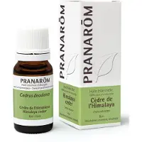 Pranarôm Etherische Olie Himalaya Ceder 10 ml Etherische olie